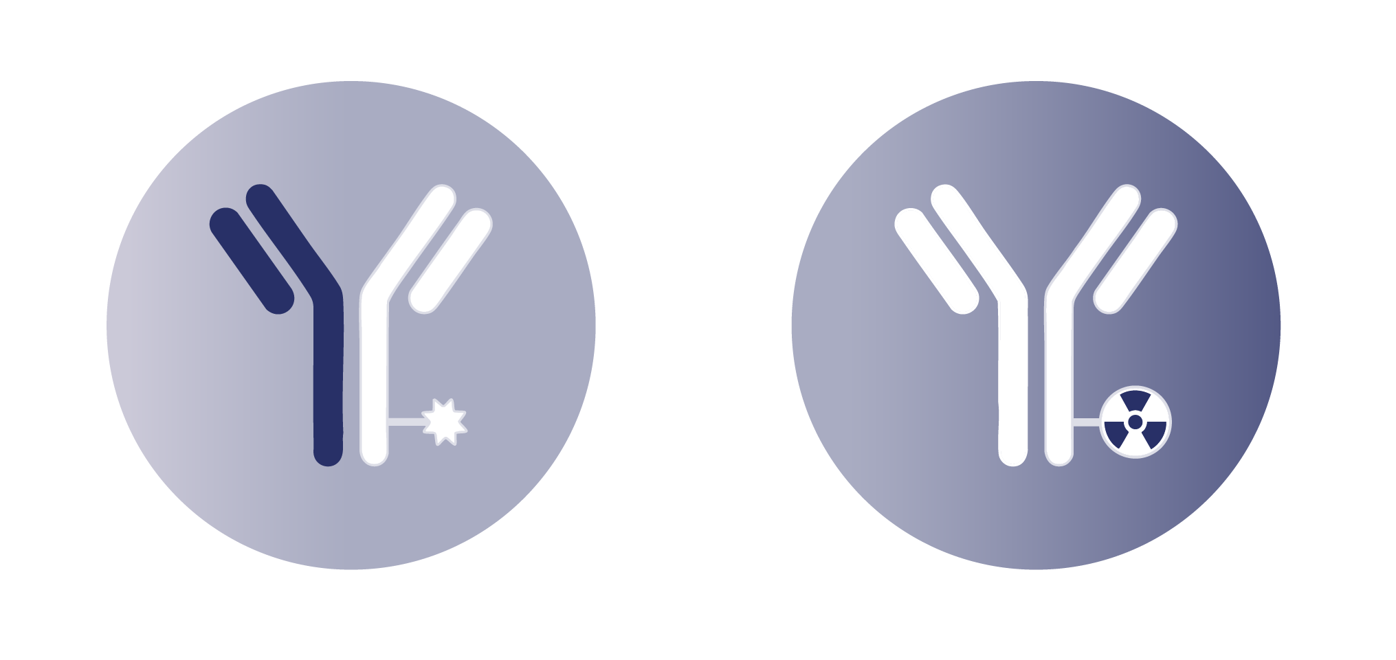 Illustrations of bispecific ADCs and radioimmunoconjugates